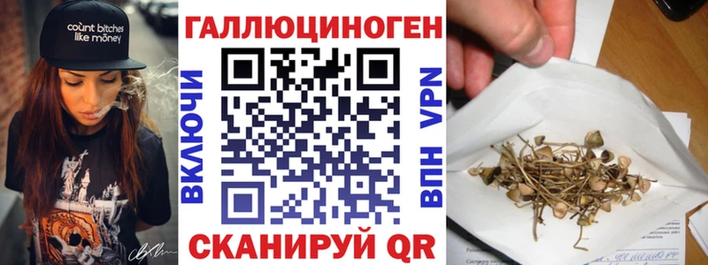 Галлюциногенные грибы мицелий  Торопец 