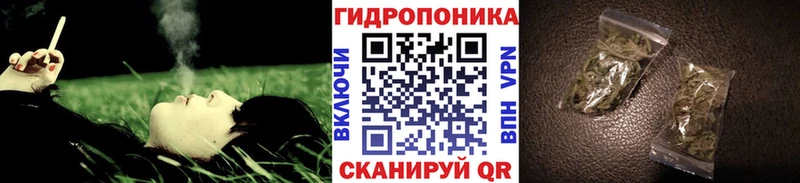 кракен как зайти  маркетплейс телеграм  Конопля AK-47  Торопец 